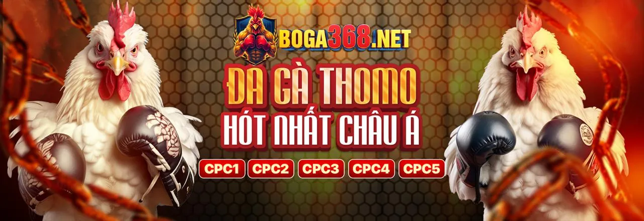 Đá gà trực tuyến pkvip88 casino - Trải nghiệm cá cược đỉnh cao
